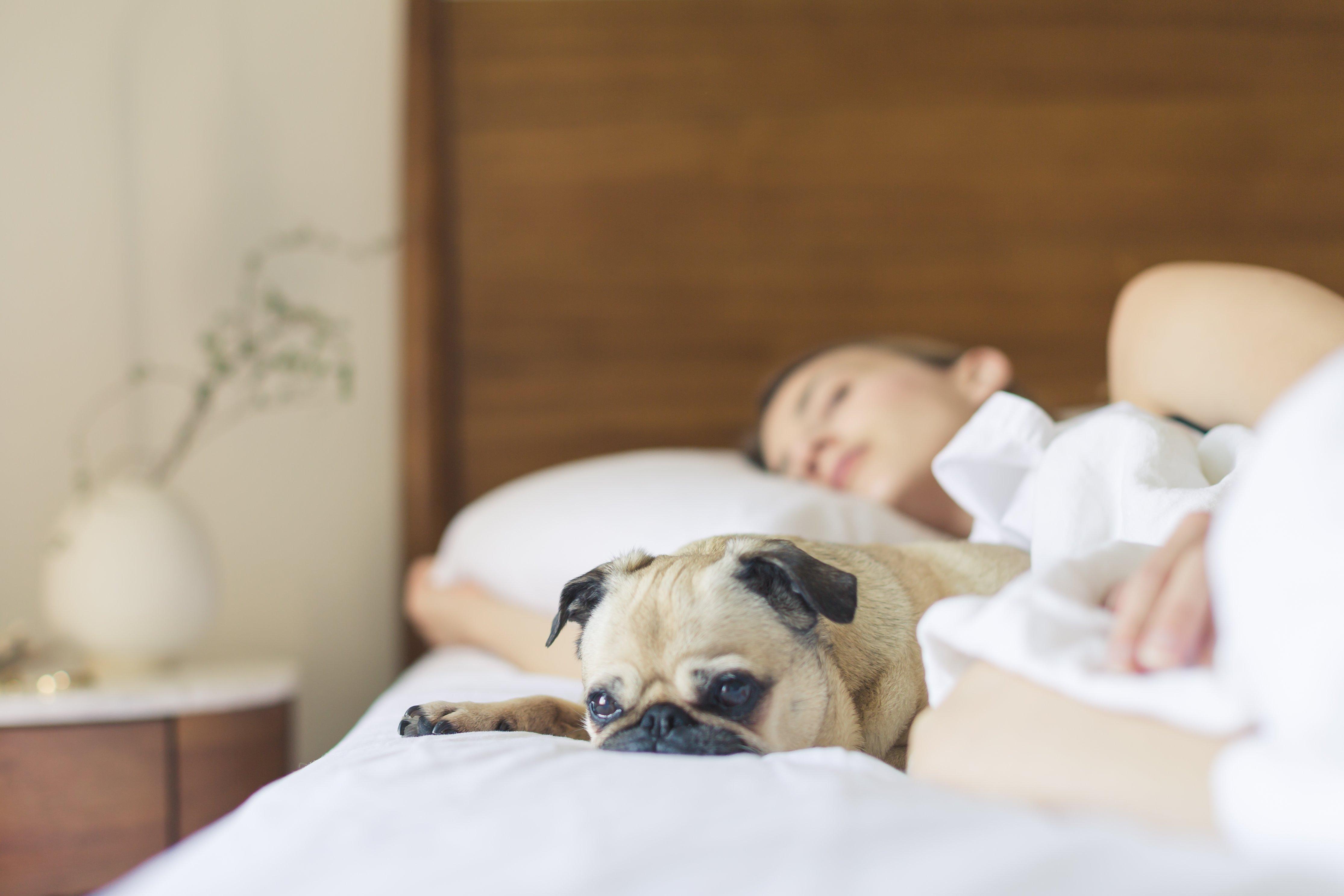 Holiday Inn Express Tucson-Airport By Ihg Bagian luar foto